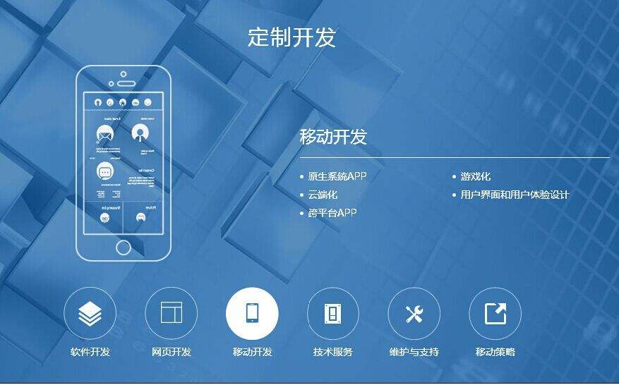软件定制