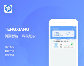 app开发
